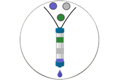 Chromatopraphie