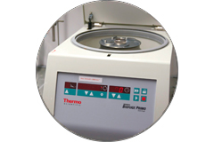 Biofuge Primo
