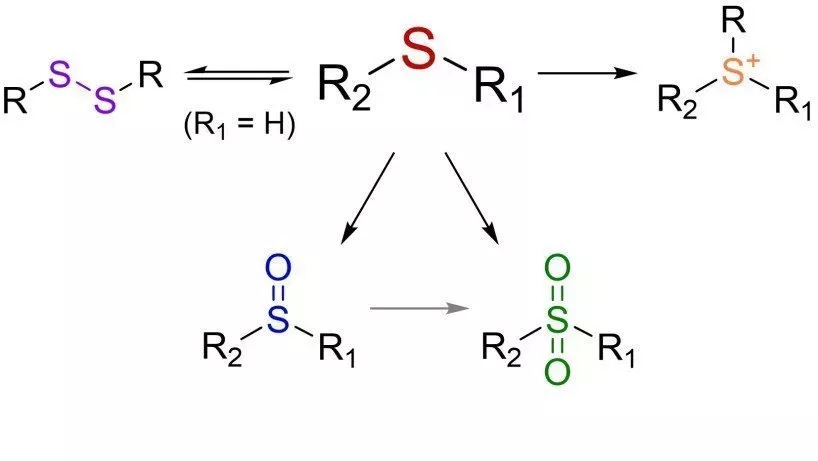 Schwefelbasierte Monomere