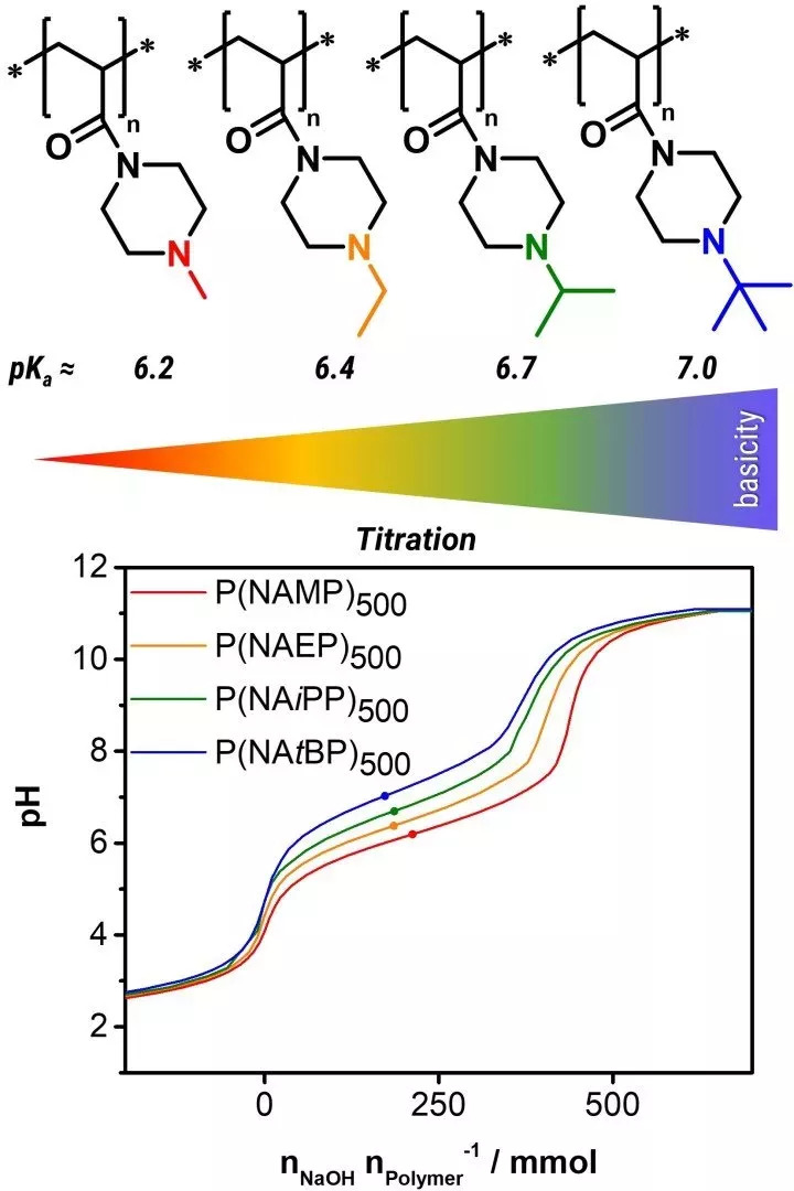 pH-Wert-reaktive Polymere