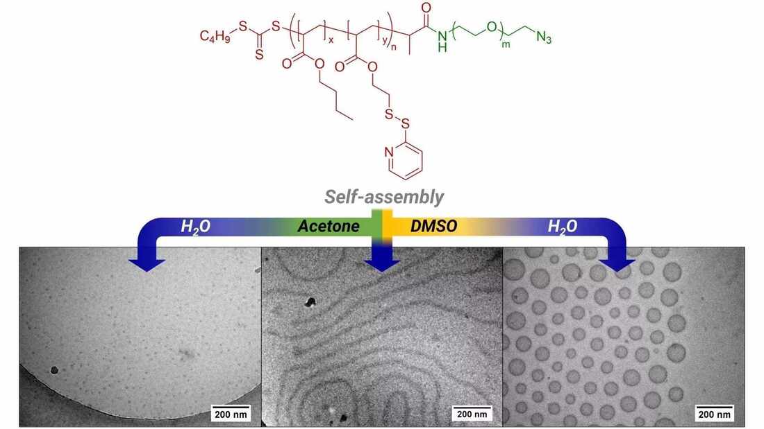 Kinetic control of polymer self-assembly