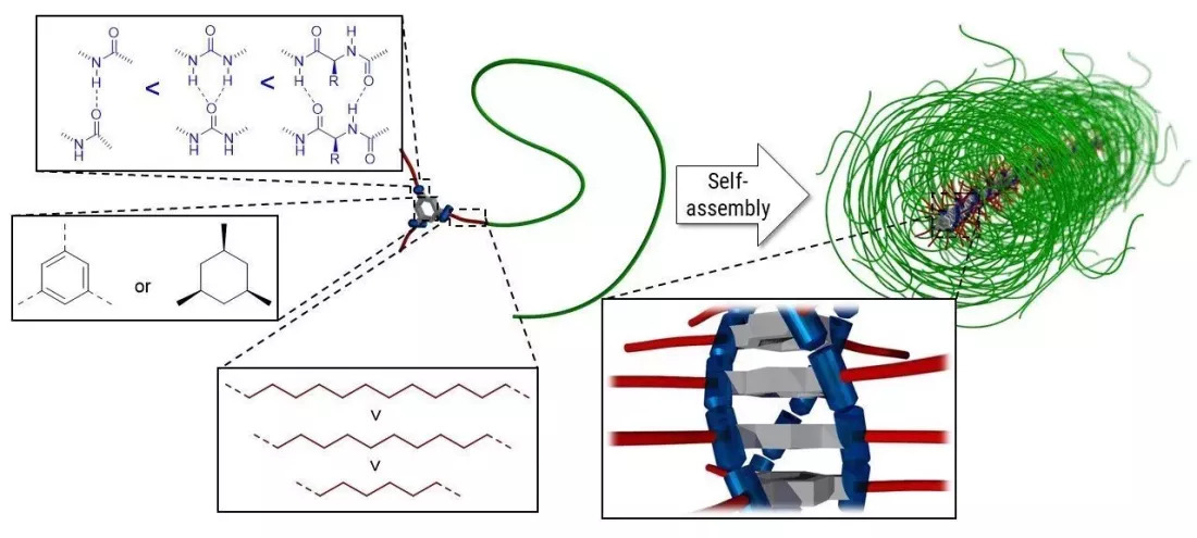 Aufbau supramolekularer Polymerbürsten